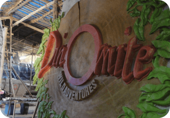 Dinomite - Image 2