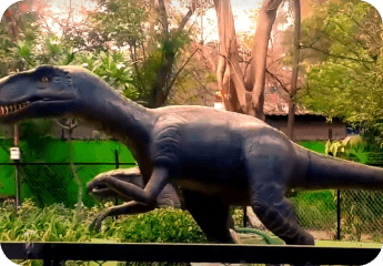 Dinosaur Park - Image 2