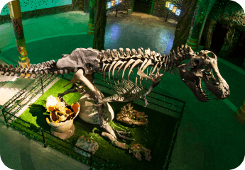 Lost World - Image 2