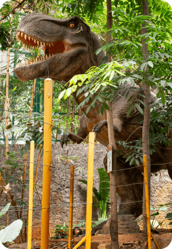 Lost World - Image 4