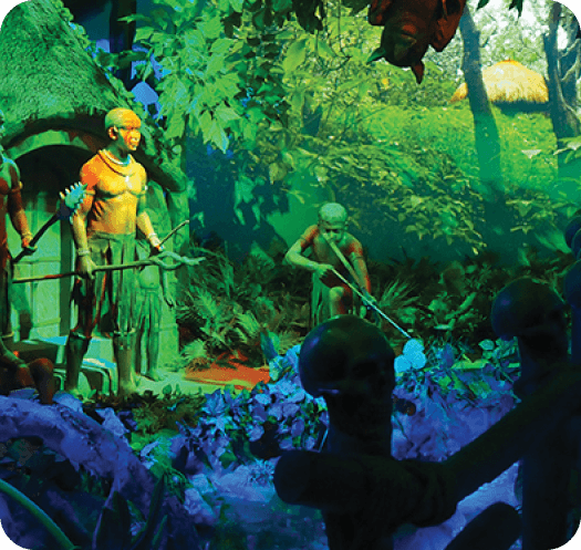 Jungle - Image 1