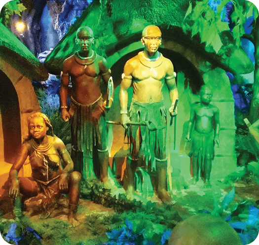 Jungle - Image 2